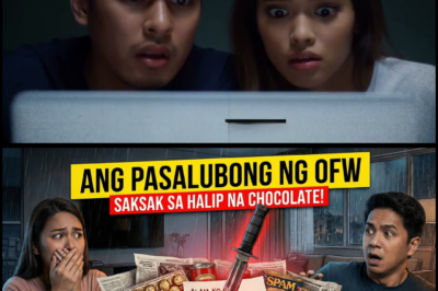 THE BALIKBAYAN BOX TRAP: HOW AN OFW IN SOUTH KOREA EXPOSED HIS WIFE’S INFIDELITY WITH A DE@DLY GIFT