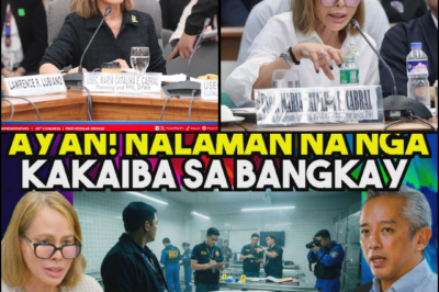 THE CLIFFSIDE CONUNDRUM: THE ARCHITECT OF THE FLOOD CONTROL SCAM AND THE FALL THAT SILENCED A BILLION-PESO SECRET