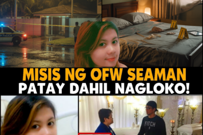 THE LANCASTER HOUSE OF LIES: HOW A SEAMAN’S SACRIFICE ENDED IN A BLOODY REUNION WITH THE PAST