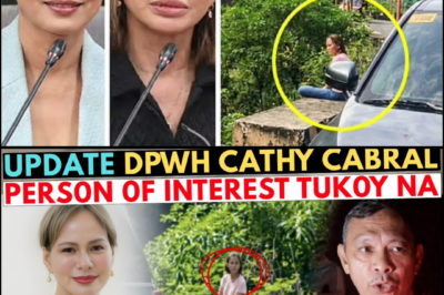 THE LYNCHPIN’S DESCENT: ACROPHOBIA, ANOMALIES, AND THE MIST-COVERED TRAGEDY OF KATHY CABRAL