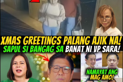 THE CHRISTMAS COUNTER-SCRIPT: CCTV REVELATIONS, THE FORBES PARK VAULT, AND THE COLLAPSE OF THE DetainEE’S AFFIDAVIT