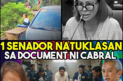 THE ARCHITECT’S WISH LIST AND THE ZAMBALES MIRACLE: GHOST PROJECTS AND THE $16.6$ BILLION SILVER WOLVES MATRIX