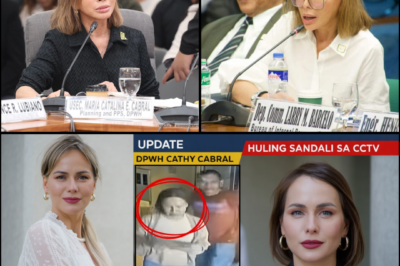 THE ARCHITECT’S SILENCE: ACROPHOBIA, THE PINK CROCS, AND THE BATTLE FOR THE “BLOOD-STAINED” FILES