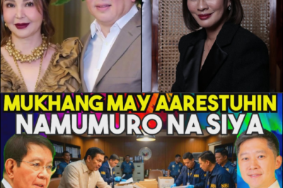 THE MOGUL, THE MATRIX, AND THE BILLION-PESO BICAM: PHILIP LAUDE’S JOINT ACCOUNT AND THE TRIPLE-BUDGET MIRACLE OF CAMARINES SUR