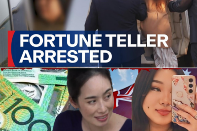 THE PENTHOUSE SYNDICATE: The Downfall of Financial Fraud Mastermind Anya Pan and the Unmasking of a $38 Million Criminal Empire in Australia