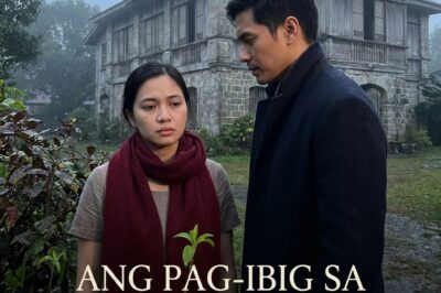 BINENTA NG AMA SA ALLEY: ANG MADILIM NA SAKRIPISYO NI CLARA SA CHICAGO AT ANG MAFIANG NAGLIGTAS SA KANYA! ISANG KWENTO NG PAG-IBIG, DUGO, AT PAG-ASA NA MAGPAPAIYAK SA INYO NGAYON 2026!