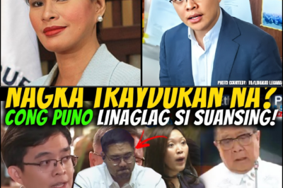 THE BONUS BATTLE: LEANDRO LEVISTE’S RESIBO VS. THE HOUSE’S DENIAL AND THE 18 BILLION PESO MOOE MYSTERY