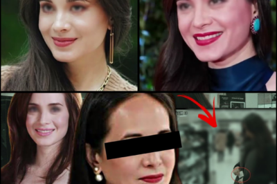 THE TRUTH BEHIND THE ANGEL: DECONSTRUCTING THE 2004 SHOPLIFTING SCANDAL THAT ROCKED LUCY TORRES-GOMEZ’S CAREER