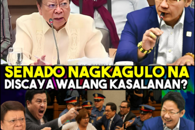 THE DESCAYA FILES: UNMASKING THE 10-BILLION PESO KICKBACK NETWORK, THE “BAGMEN” OF BGC, AND THE SYSTEMIC COLLAPSE OF THE DPWH
